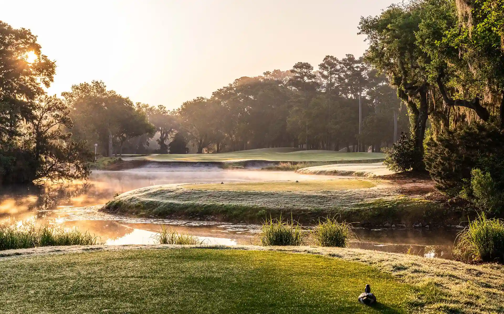 Myrtle Beach golf course