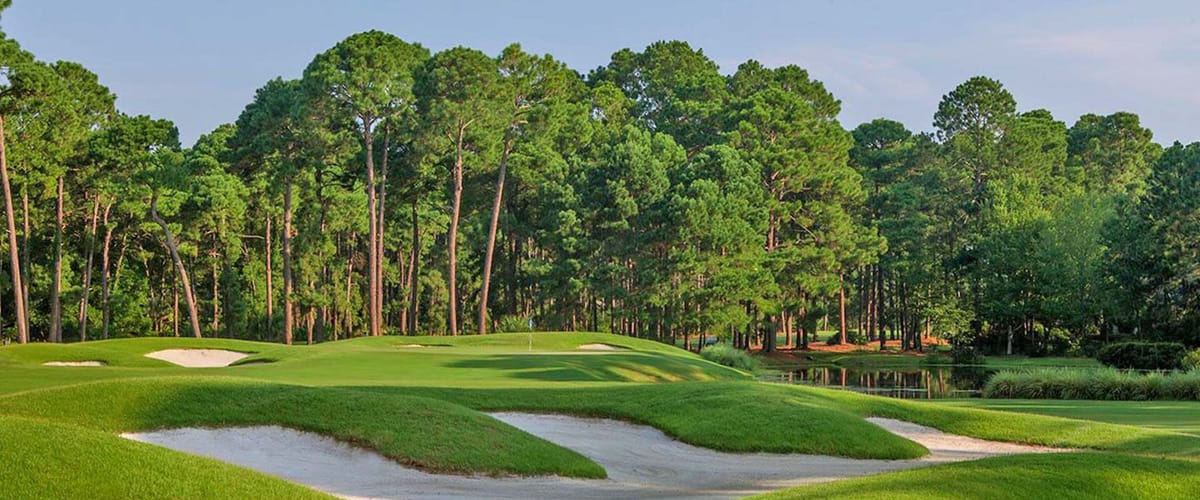 Bear Creek Golf Club golf course view