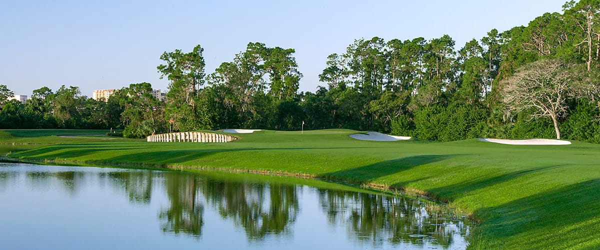 Disney's Lake Buena Vista Golf Course golf course view