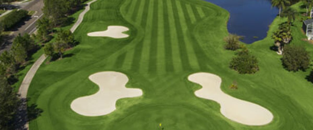 Westchase Golf Club golf course view