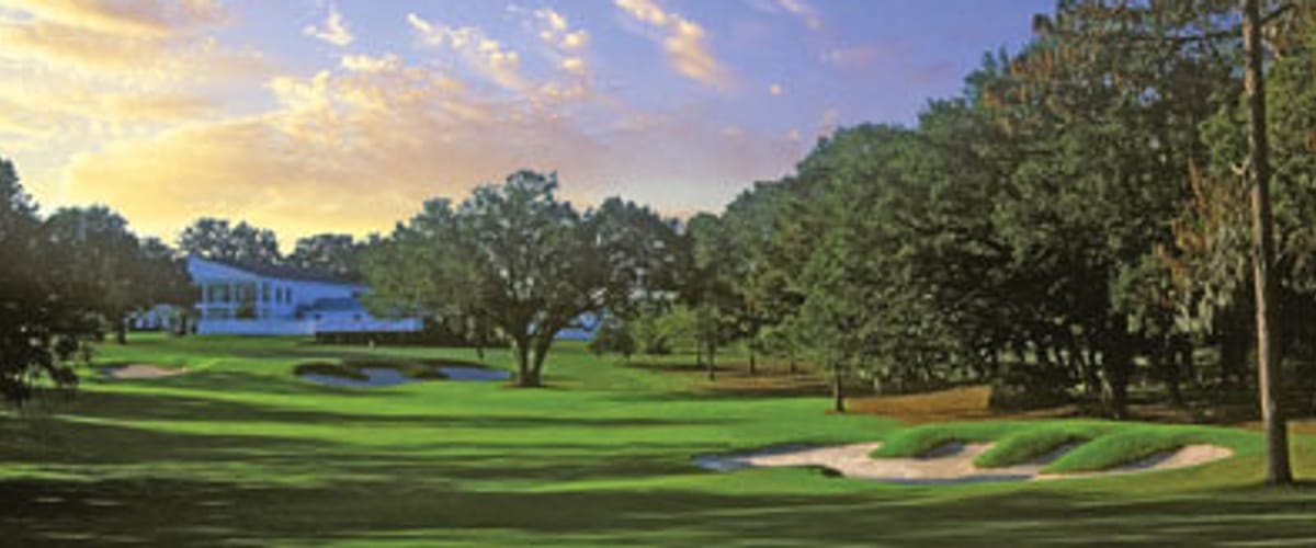 Ocala National Golf Club golf course view