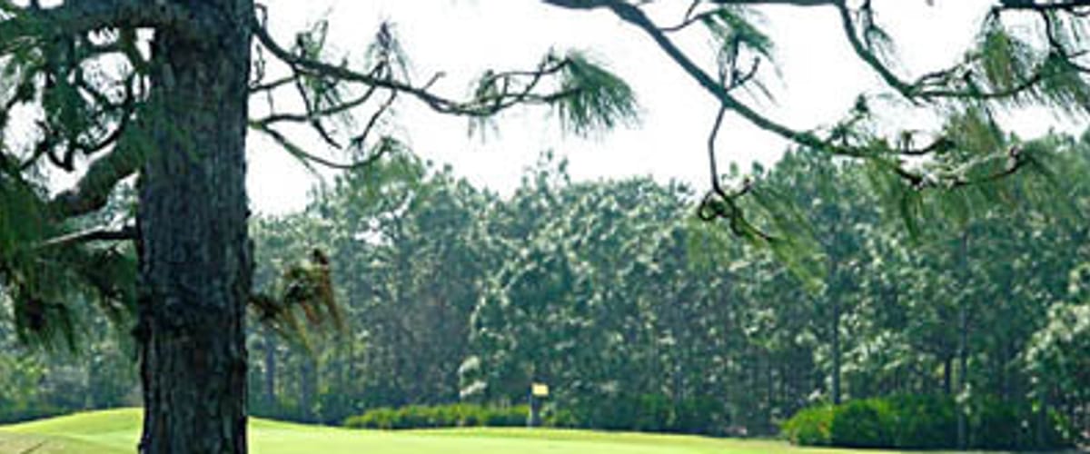 Long Marsh Golf Club golf course view