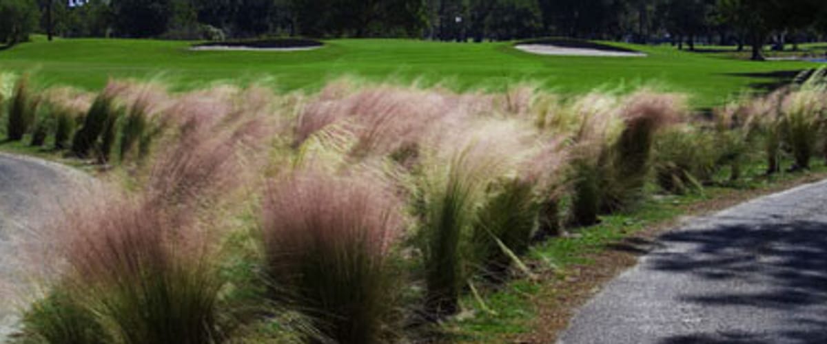 Eagles Golf Club - Forest Course golf course view
