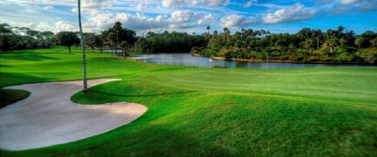 Palm Harbor Golf Club golf course view