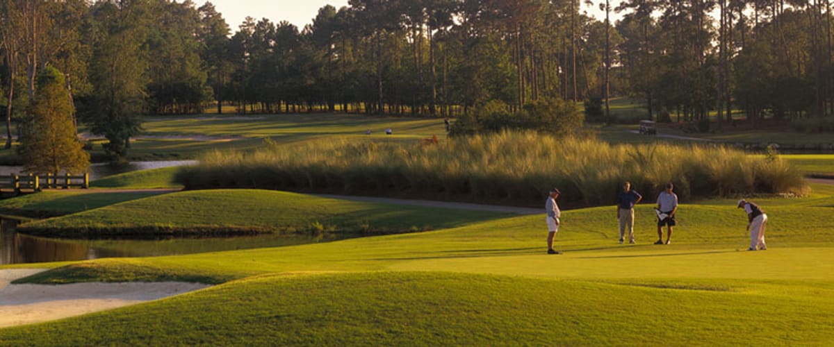 Panther's Run Golf Links golf course view
