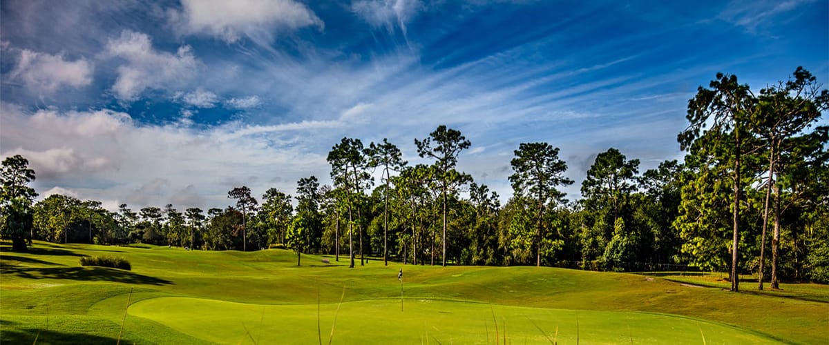 Victoria Hills Golf Club golf course view