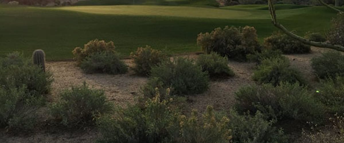 Legend Trail Golf Club golf course view