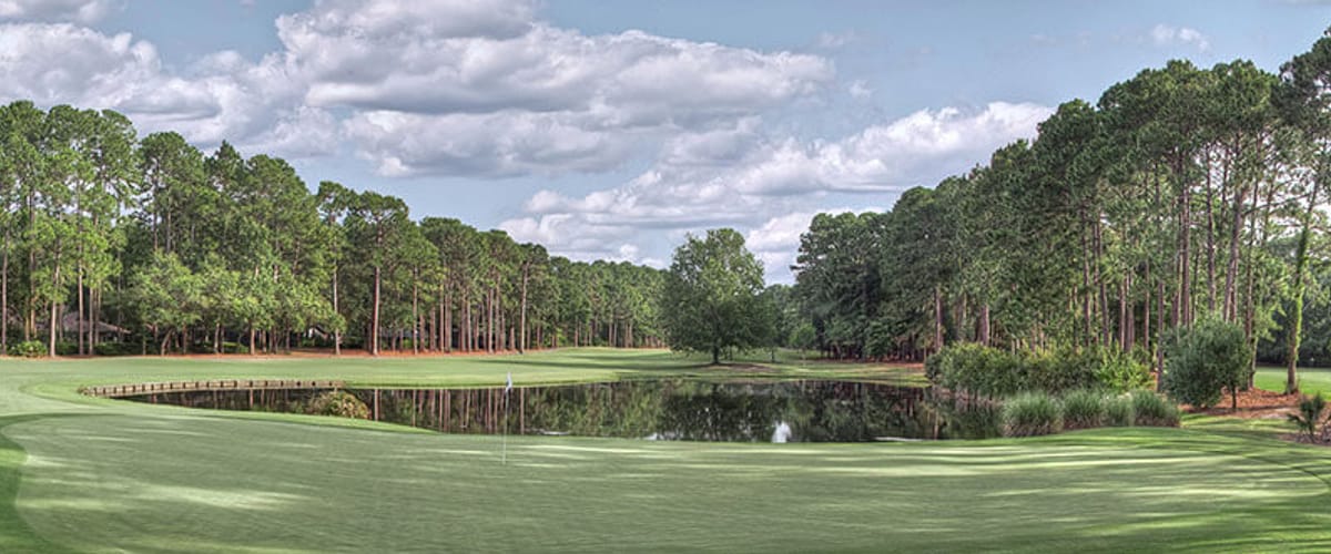 Dolphin Head Golf Club golf course view