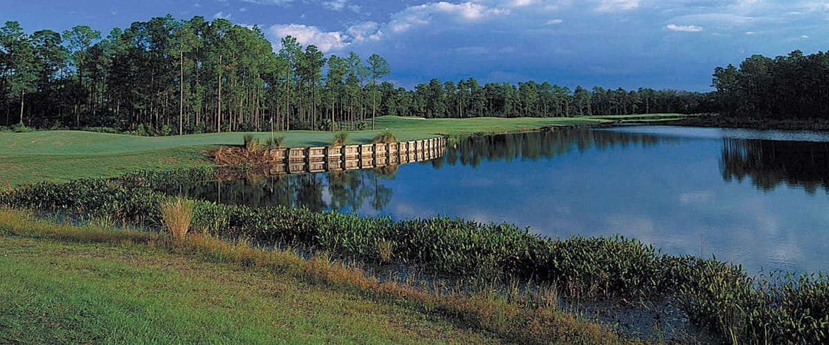 Stoneybrook East Golf Club golf course view