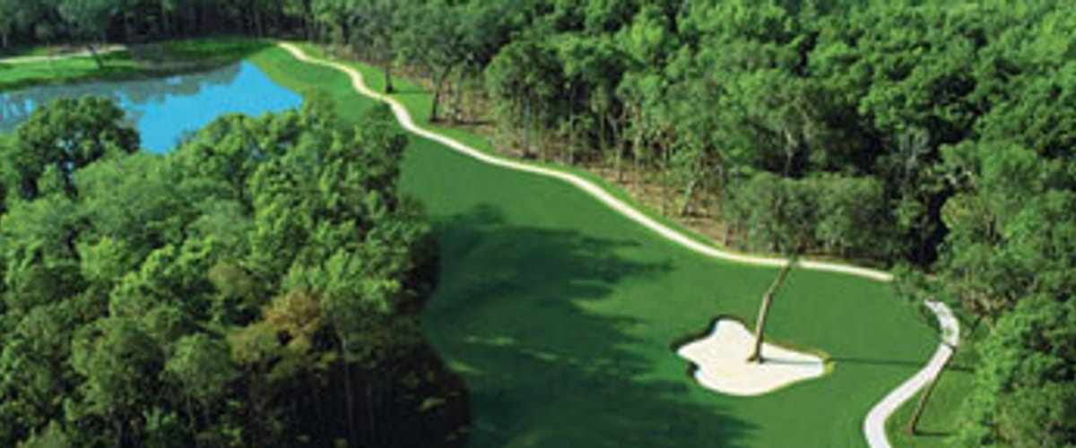 Celebration Golf Club golf course view